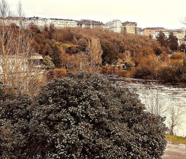 اتاق استاندارد سه نفره, Roots&boots Lugo