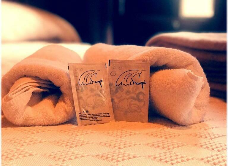 اتاق خانوادگی, Roots&boots Lugo