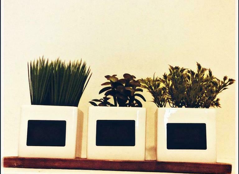 اتاق خانوادگی, Roots&boots Lugo