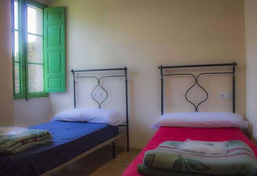 اتاق استاندارد, Roots&boots Lugo