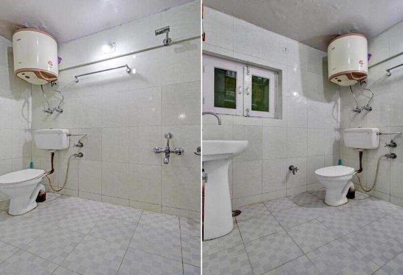 Quarto Estandar, Abihayat