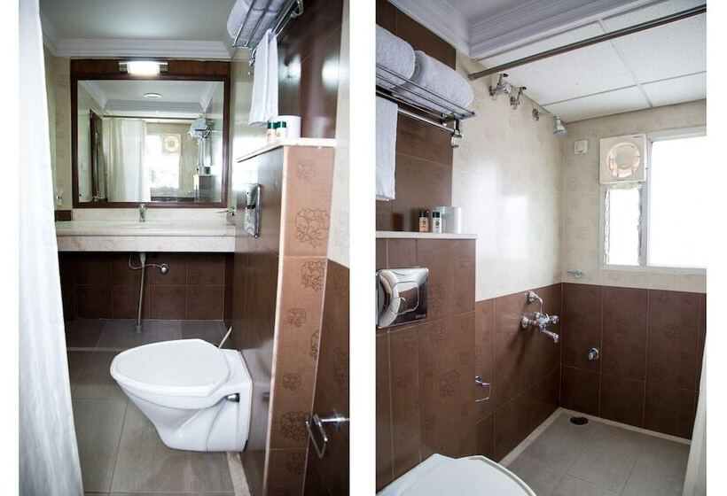 이그제큐티브 룸, New Rainbow Business