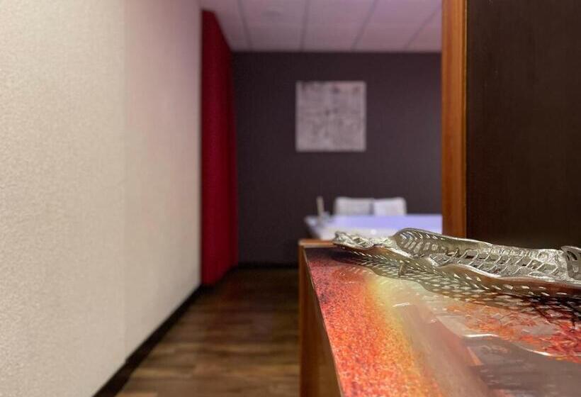 سوئیت با تخت بزرگ, Motel Los Abedules