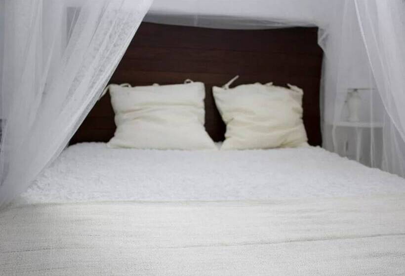 تختخواب در اتاق مشترک, The Lights Hostel