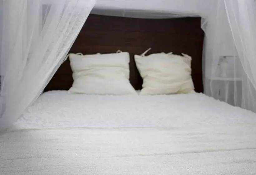 تختخواب در اتاق مشترک, The Lights Hostel