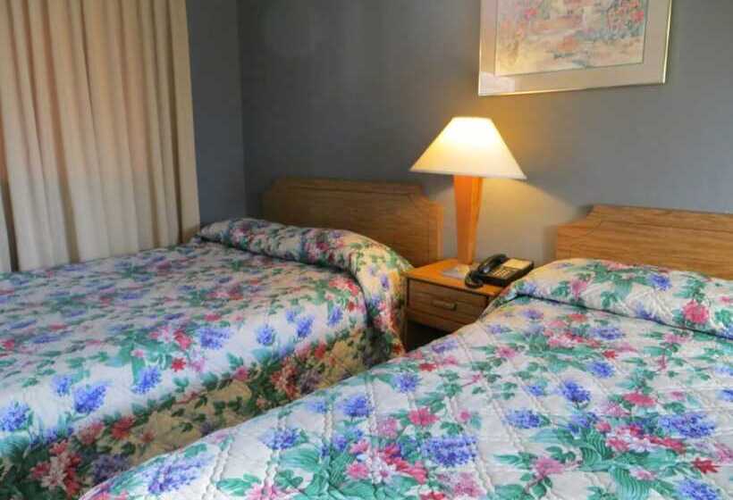 Номер Стандарт, Capri Motel