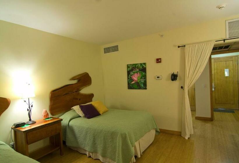 غرفة قياسية, Floyd