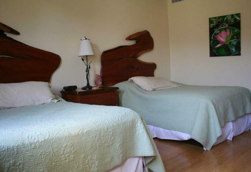 غرفة قياسية, Floyd