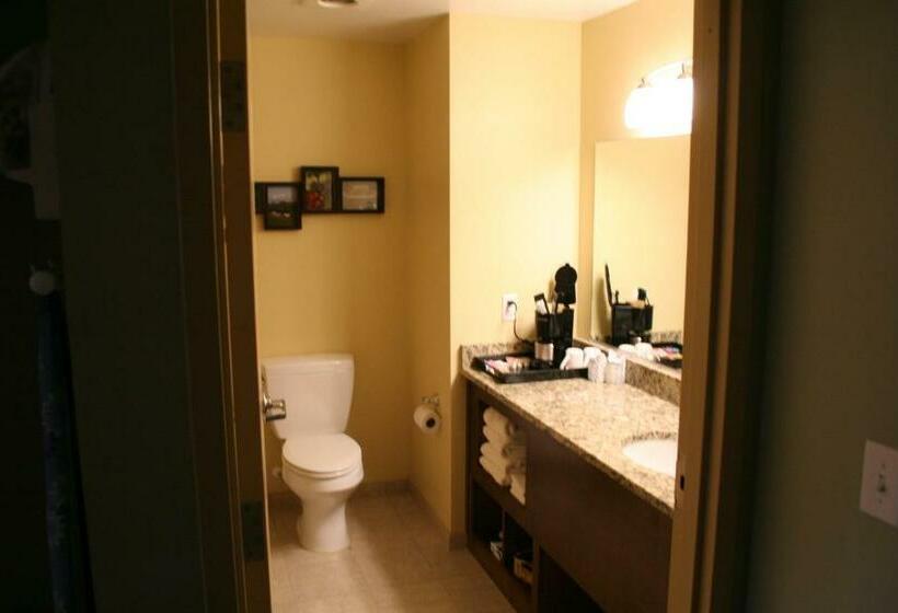 غرفة ديلوكس, Floyd