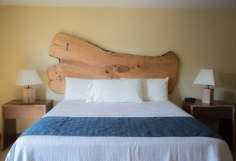 غرفة ديلوكس, Floyd