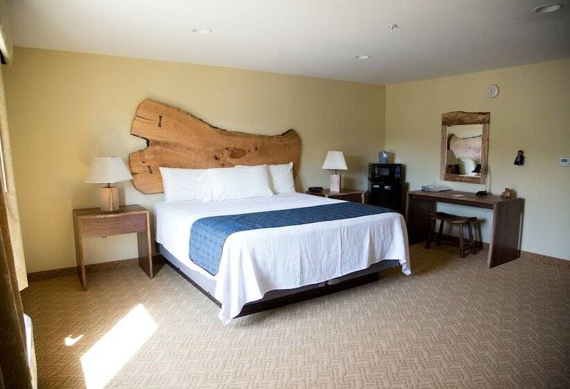 غرفة ديلوكس, Floyd