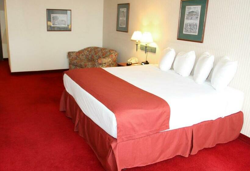 キングサイズベッドのスタンダードルーム, Hoover Dam Lodge