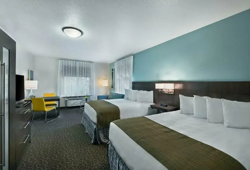 Sviitti, Oxford Suites Bellingham