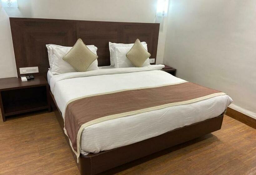 غرفة قياسية, Chryso Hotels Pvt Ltd