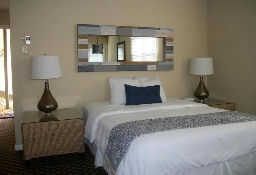 スタンダードスタジオ, Michillinda Lodge Resort