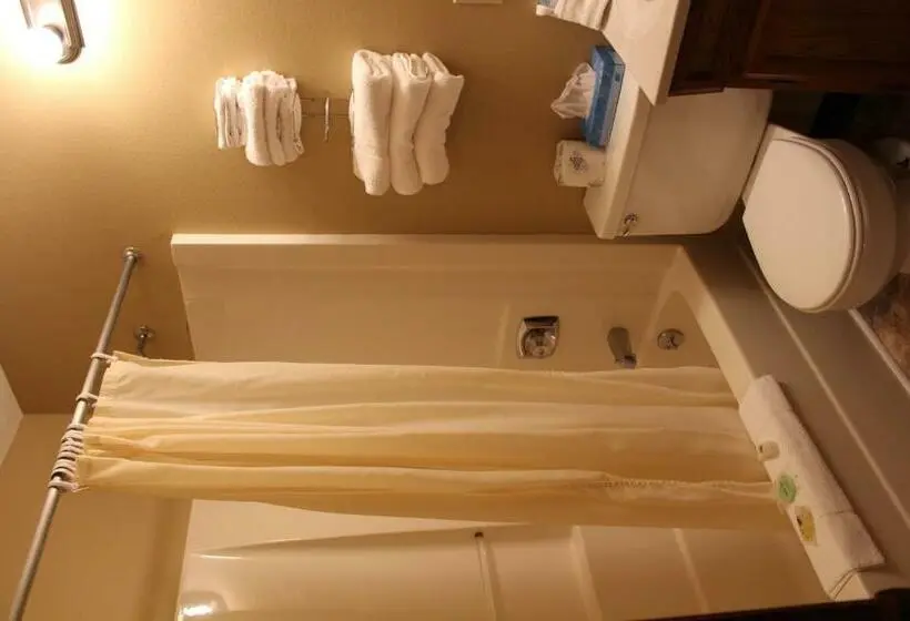 キングサイズベッドのスタンダードルーム, Gold Country Inn