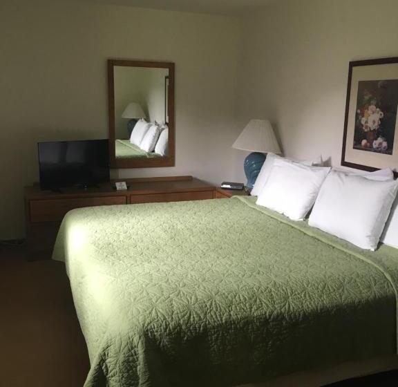 غرفة قياسية سرير كينج, Lull Abi Inn