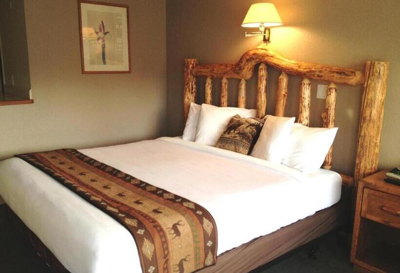 חדר סטנדרט, Sandman Motel