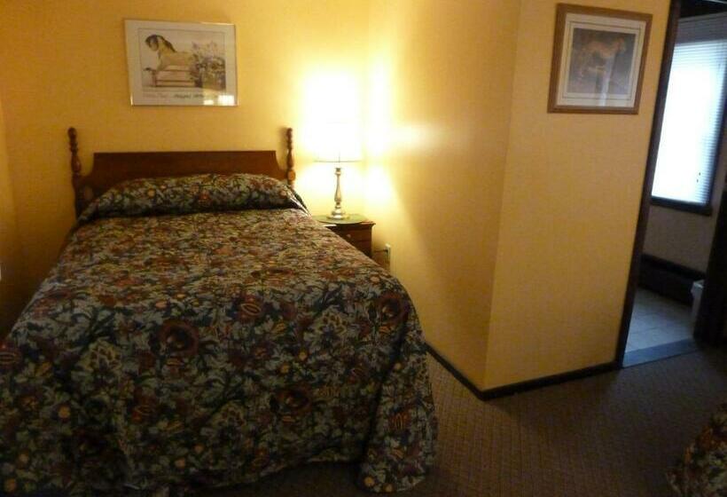 Номер Deluxe, Viking Motel