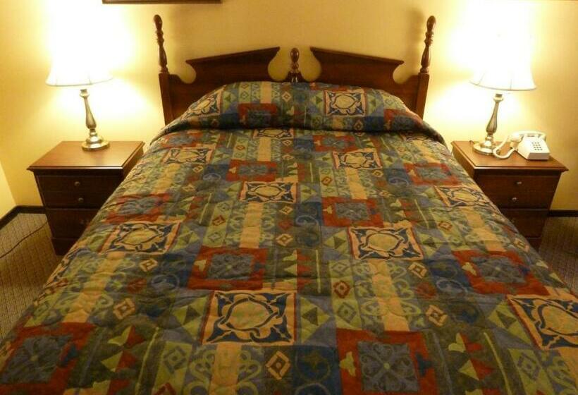 Номер Deluxe, Viking Motel