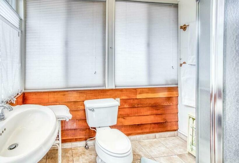 スタンダード４人部屋, A Bed Of Roses