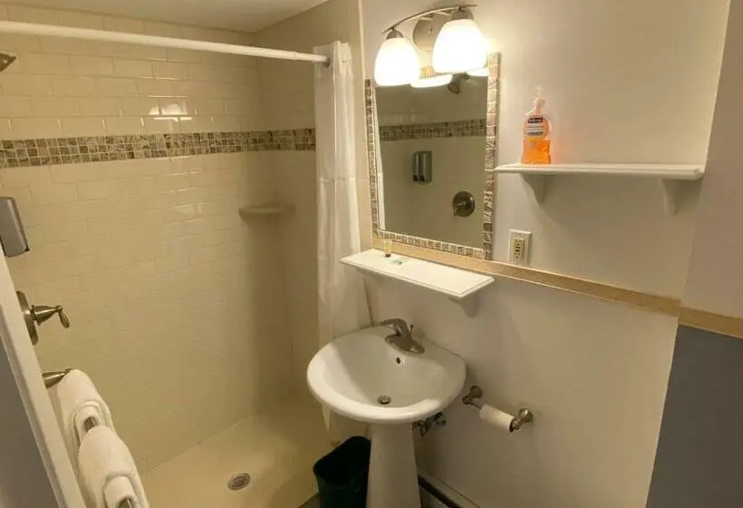 キングサイズベッドのスイートルーム, Bromley View Inn