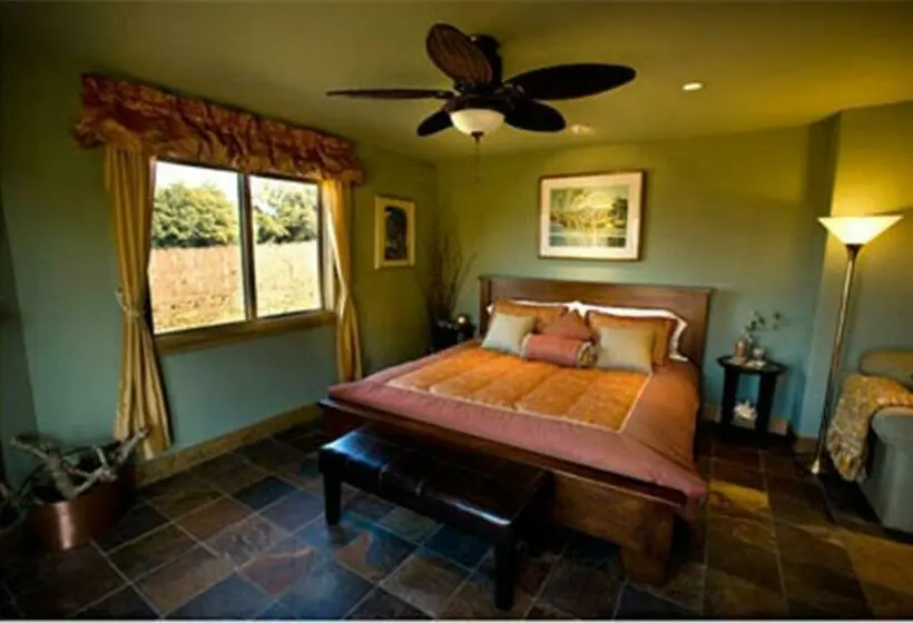 キングサイズベッドのスタンダードルーム, Pearlessence Vineyard Inn