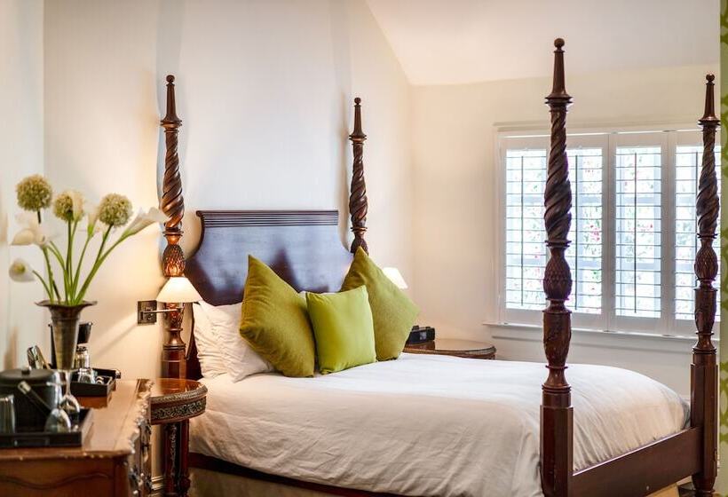 수피리어 룸, The Bergson