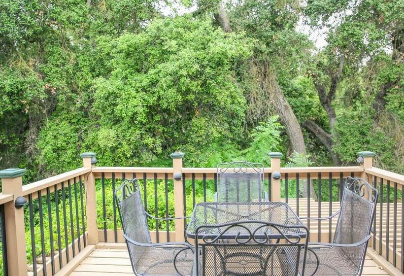 جناح مزوَّد بشرفة, The Eden House Vineyard