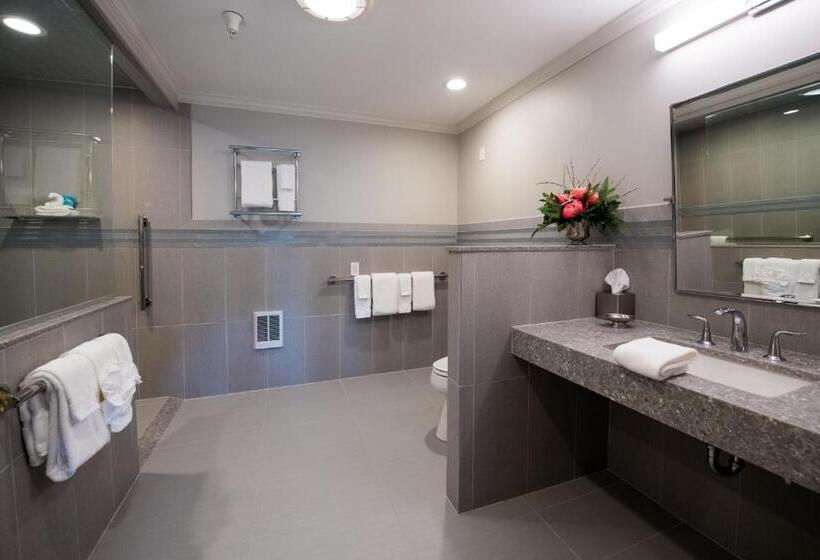 חדר דחוקס עם מיטת קינג, Union Bluff Hotel & Meeting House