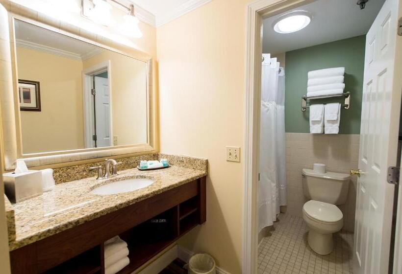 غرفة قياسية مطلة على المدينة, Union Bluff Hotel & Meeting House