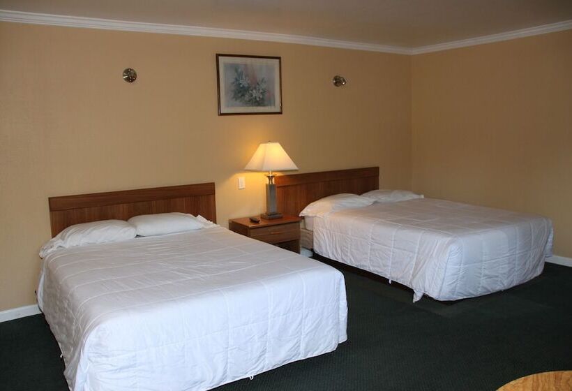 غرفه قياسيه سريرين مزدوجين, Villa Inn