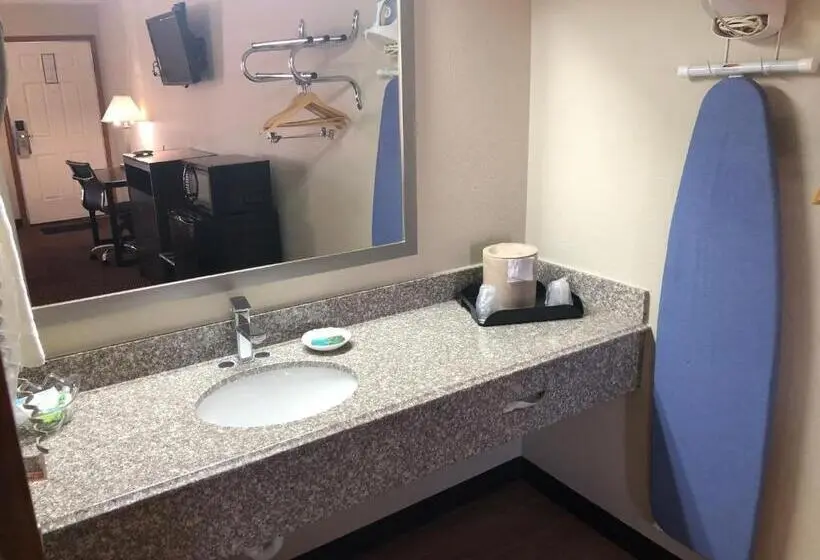 身障者適用シングルルーム, Friona Inn