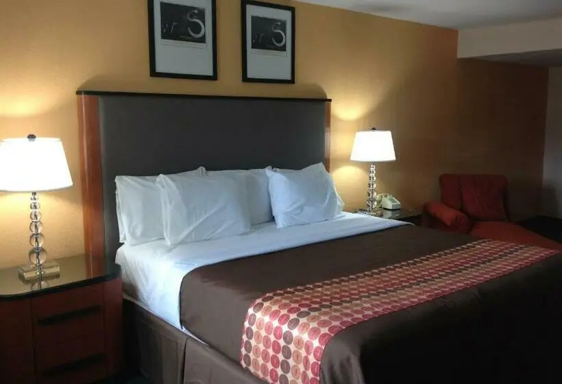 キングサイズベッドのスタンダードルーム, Media Inn & Suites