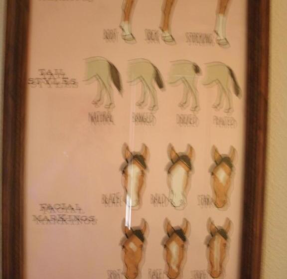 חדר סטנדרט עם מיטת קינג, Virginia City Inn