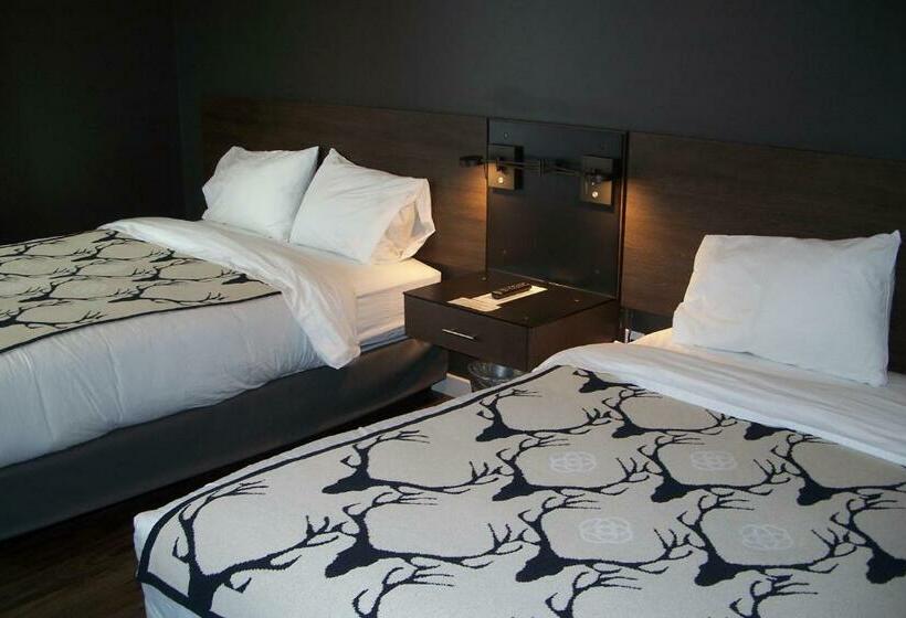 Deluxe Szoba, Terra Nova Cabins