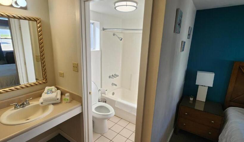 스탠다드 룸 킹사이즈 침대, Rose S Motel