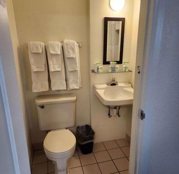 带特大床的标准间, Rose S Motel