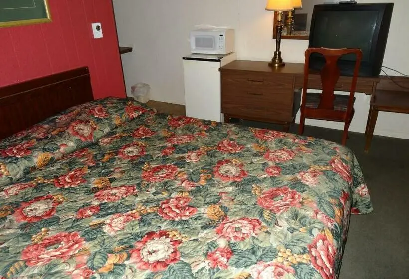 キングサイズベッドのスタンダードルーム, Sparta Motel