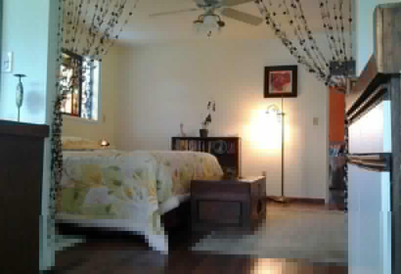 标准间带阳台, Lava Tree Tropic Inn