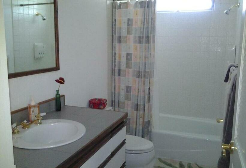 带大床的标准间, Lava Tree Tropic Inn