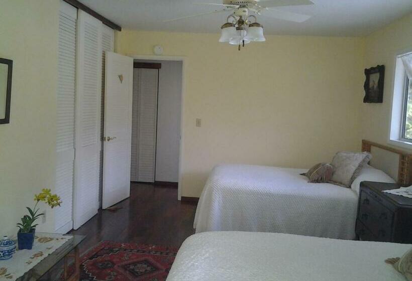 带2个双人床的标准工作室, Lava Tree Tropic Inn