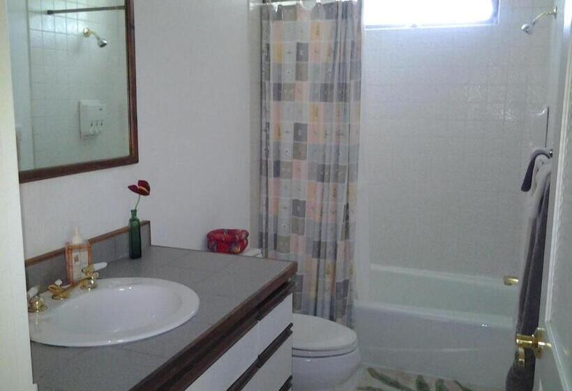 标准间带阳台, Lava Tree Tropic Inn