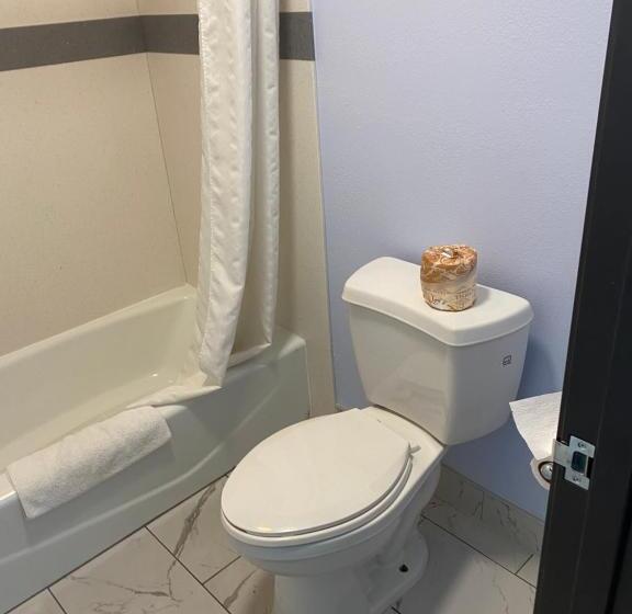 غرفة قياسية سرير كينج, Golden West Manor Motel