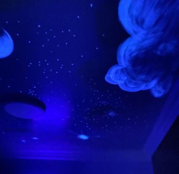 غرفة قياسية, Golden West Manor Motel