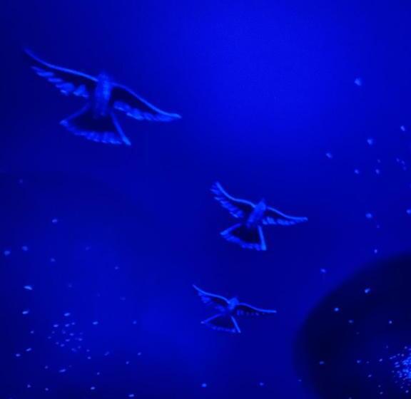 غرفة قياسية, Golden West Manor Motel