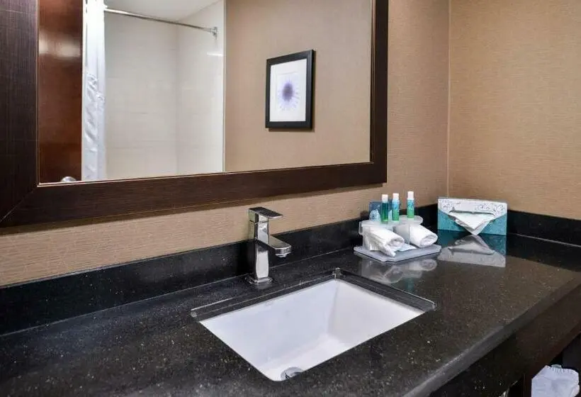 スタンダードルーム, Holiday Inn Express Hotel & Suites West Chester, An Ihg
