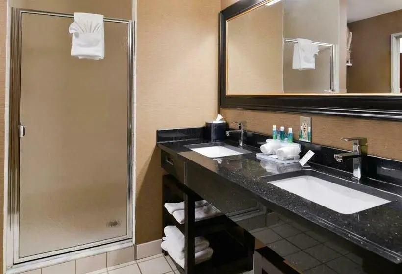 キングサイズベッドのスタンダードルーム, Holiday Inn Express Hotel & Suites West Chester, An Ihg