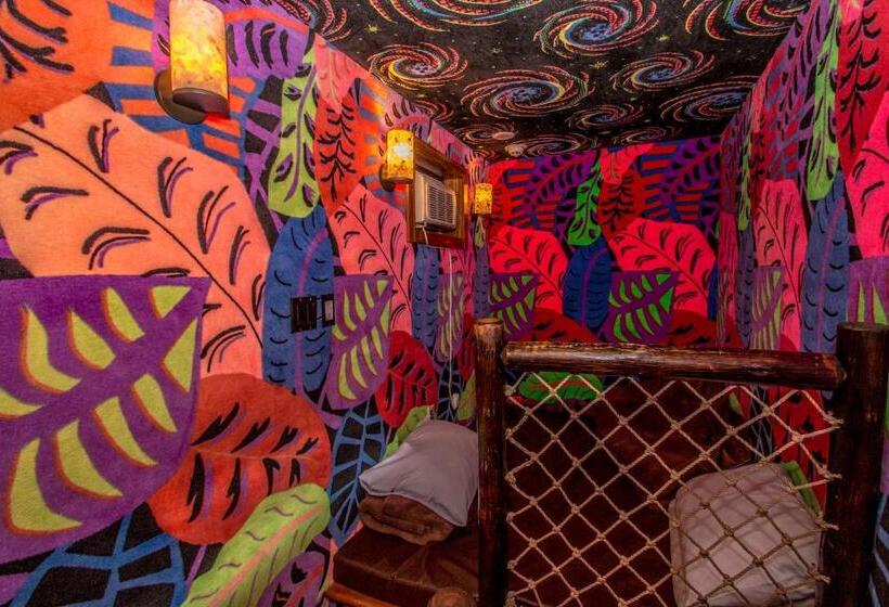 스탠다드 룸, Adventure Suites