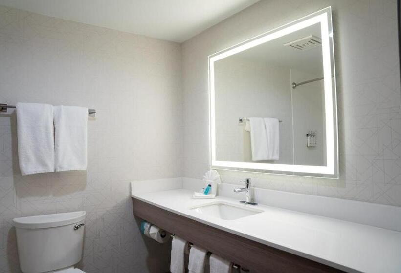 Стандартный Номер Кровать Кинг, Holiday Inn Express Hotel & Suites West Chester, An Ihg